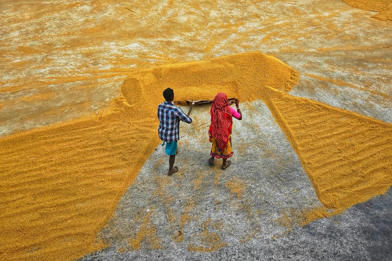 The Silent CEO of Her Home: Why Empowering Women Builds an Equal Tomorrow The SARV