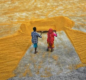 The Silent CEO of Her Home: Why Empowering Women Builds an Equal Tomorrow The SARV