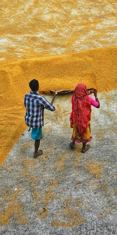 The Silent CEO of Her Home: Why Empowering Women Builds an Equal Tomorrow The SARV