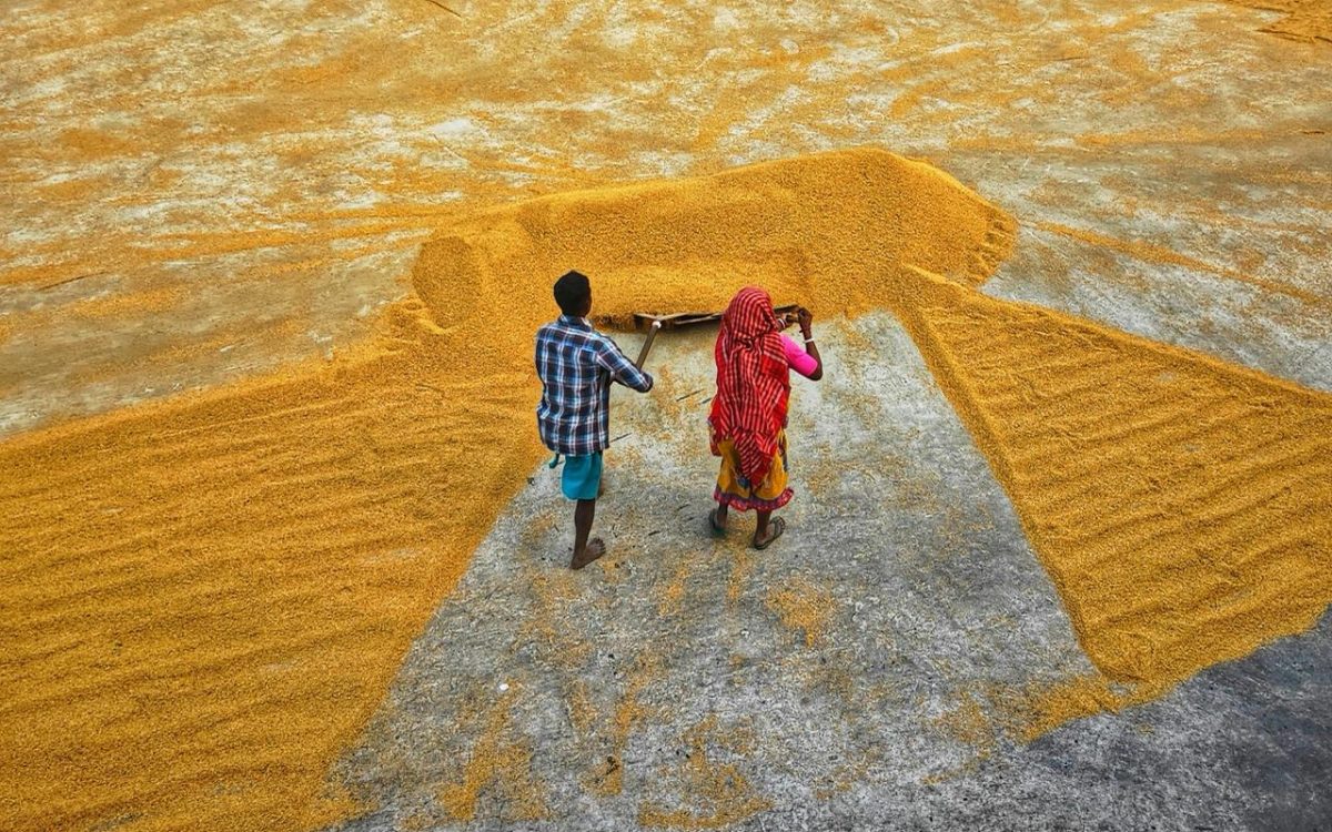 The Silent CEO of Her Home: Why Empowering Women Builds an Equal Tomorrow The SARV